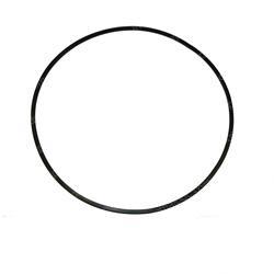 Picture of O-Ring