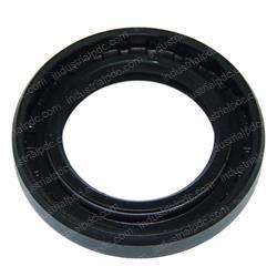 Picture of Seal