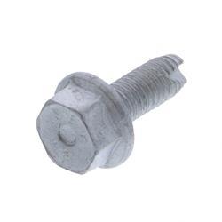Picture of Bolt