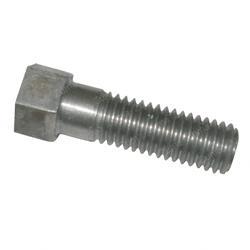 303427