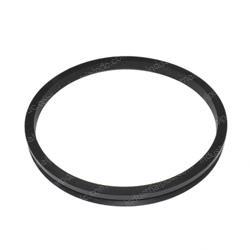 Picture of Sealing Ring