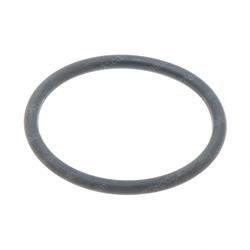 Picture of O-Ring