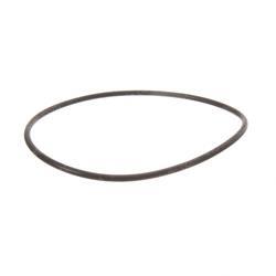 Picture of O-Ring