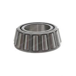 Picture of Cone-Bearing