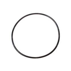 Picture of O-Ring