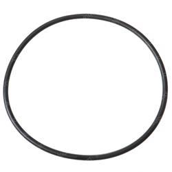 Picture of O-Ring