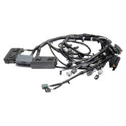 Picture of E/G Harness (07-Lp