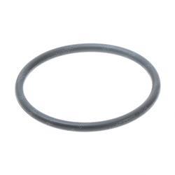 Picture of O-Ring