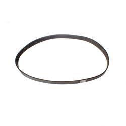 Picture of Belt - Ribbed