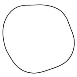 Picture of O-Ring