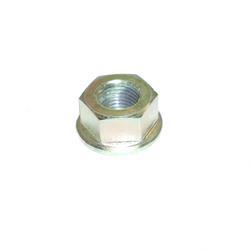 Picture of Nut - Special