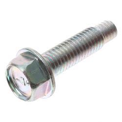 Picture of Bolt