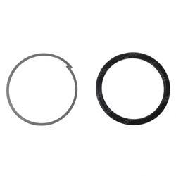 Picture of T Seal  Piston