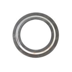 Picture of Seal -  Metallic