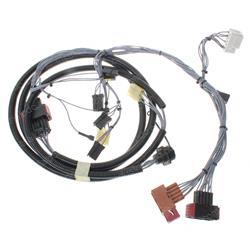 Picture of Wiring Harness