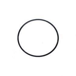 Picture of Seal