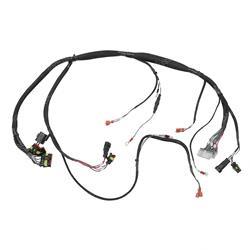 Picture of Wiring Harness