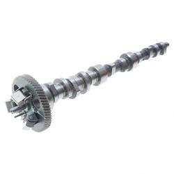 Picture of Camshaft Assy.
