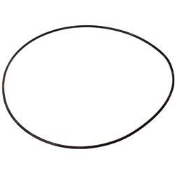 Picture of O-Ring