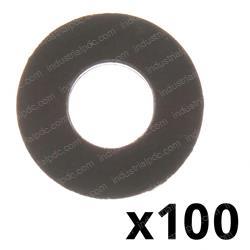 Picture of Washer - Nylon Qty=100
