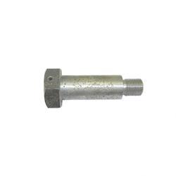 Picture of Bolt