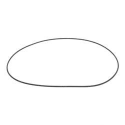 Picture of O-Ring