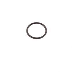 Picture of O-Ring