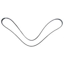 Picture of Belt - Multi Ribbed Flat