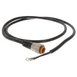 Picture of Cord Set Male 5ft 3p