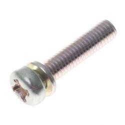 Picture of Screw