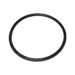 Picture of O-Ring