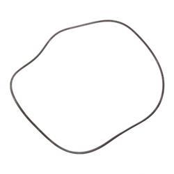 Picture of O-Ring