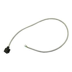 Picture of Wiring Harness