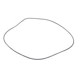 Picture of O-Ring