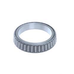 Picture of Cone-Bearing