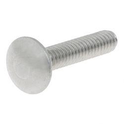Picture of Bolt-Carriage-1/4-20x1-1/4 in S