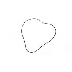 Picture of O-Ring