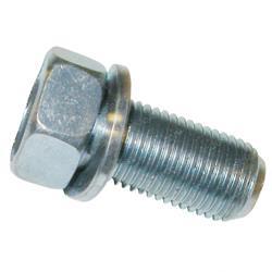 Picture of Bolt W/Washer