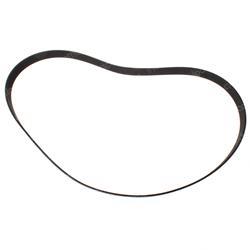 Picture of Belt - Serpentine