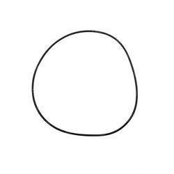 Picture of O-Ring