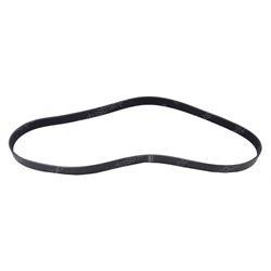 Picture of Belt - Serpentine