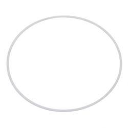 Picture of Back Up Ring