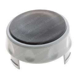 Picture of Plug With Horn