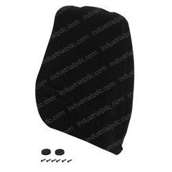 Picture of Cushion Bkrest