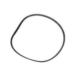 Picture of Belt - Serpentine