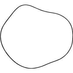 Picture of O-Ring