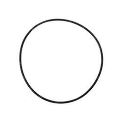 Picture of O-Ring
