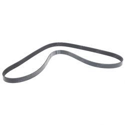 Picture of Belt - Serpentine