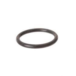 Picture of O-Ring