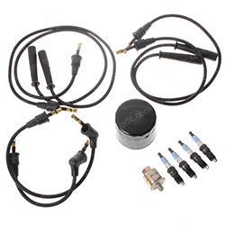 Picture of Tune Up Kit - Ford Vsg-411